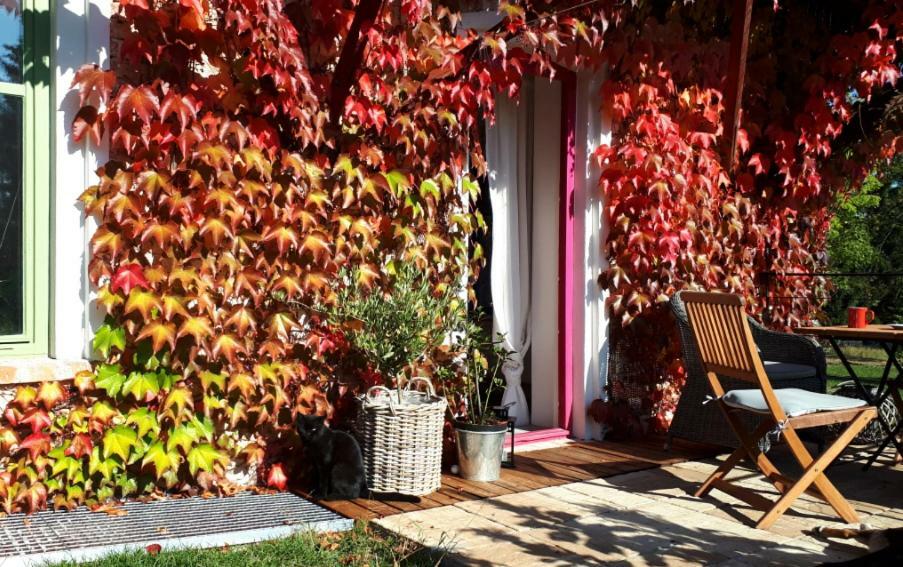 Apartmany Ruprechtov Hroznetin Luaran gambar